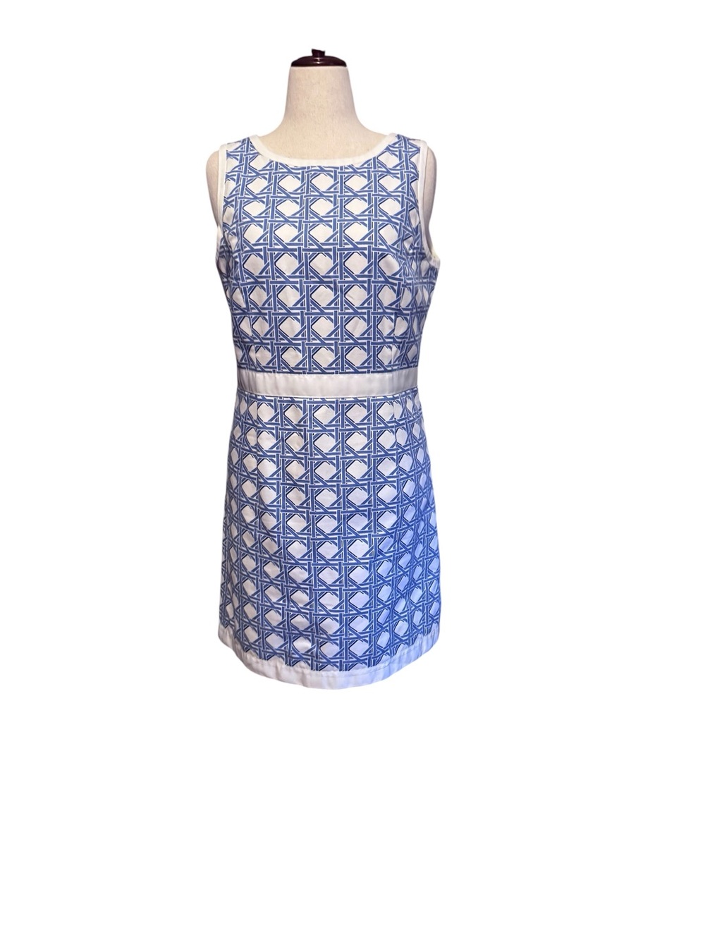 Classic Brooks Brothers Sleeveless Blue/White Shift Dress, Sz 12, EUC